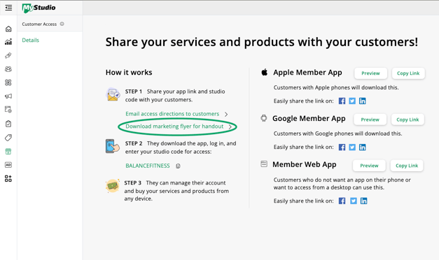 Marketing Flyer - Customer Access