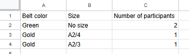 belt inventory csv